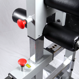 BodySolid Glute Ham Developer (GHD)