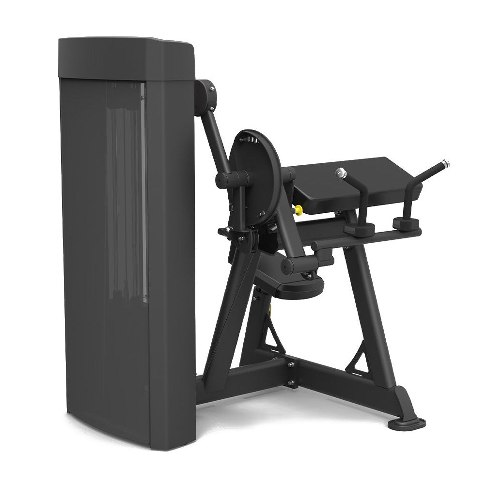 Spirit Fitness Dual Biceps Curl / Triceps Extension