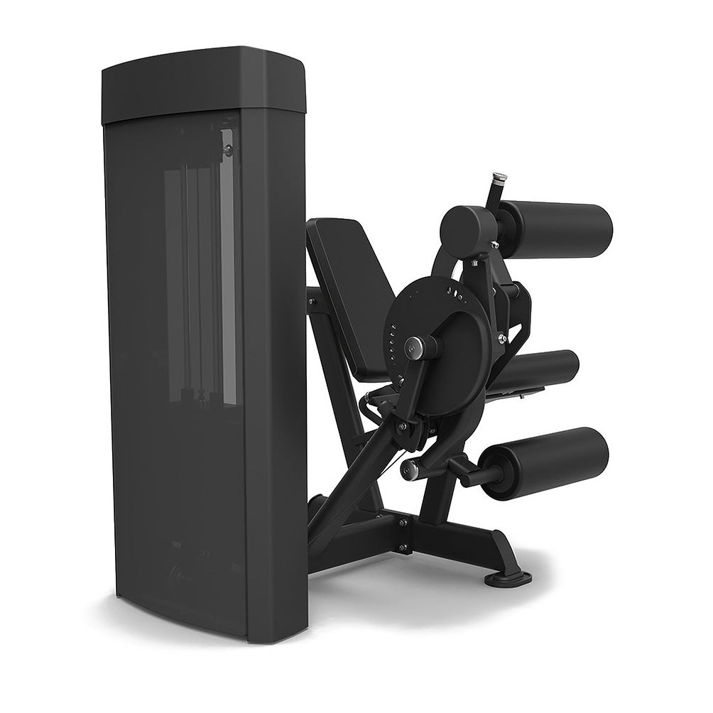 Spirit Fitness Dual Leg Extension / Leg Curl